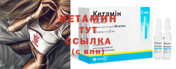 прущие грибы Медвежьегорск