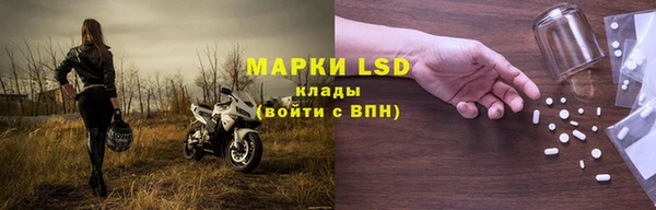 прущие грибы Медвежьегорск