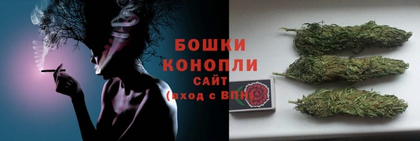 прущие грибы Медвежьегорск