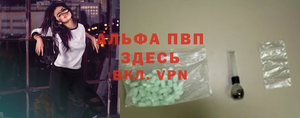 прущие грибы Медвежьегорск