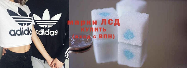 прущие грибы Медвежьегорск