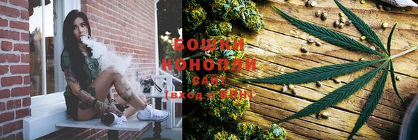 прущие грибы Медвежьегорск