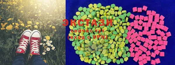 прущие грибы Медвежьегорск