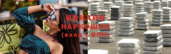 прущие грибы Медвежьегорск