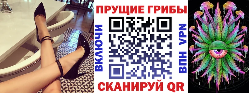 что такое   Новоульяновск  Галлюциногенные грибы Magic Shrooms 